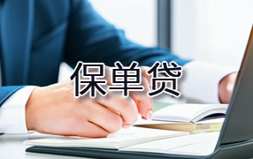 白山保单贷